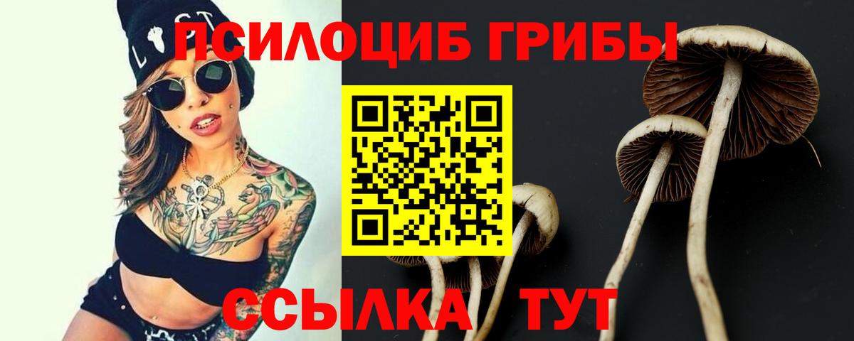 Галлюциногенные грибы ЛСД Вольск
